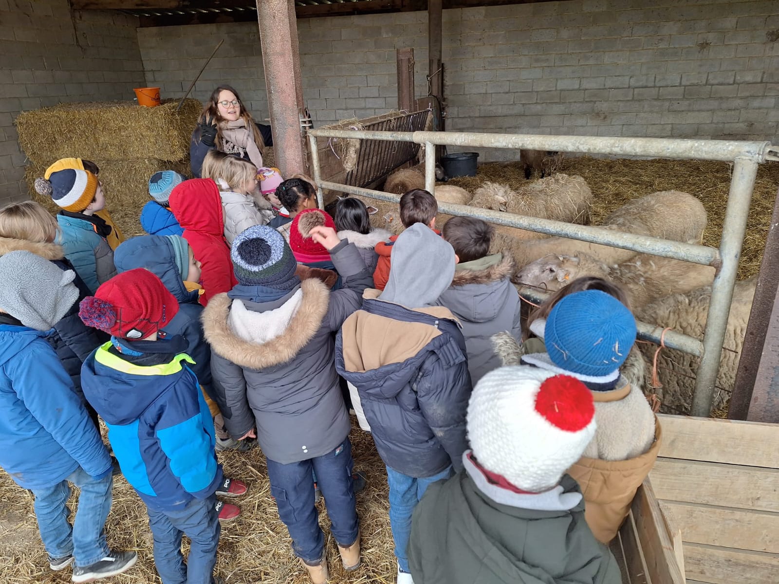 Les classes de ferme des élèves de deuxième primaire (photos dans l’article)